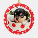 Search for puppys first christmas Cute