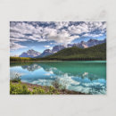 Search for waterfowl postcards Lake