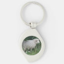Search for woolly sheep key rings Funny