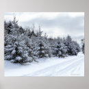 Search for low temperature posters Outdoors