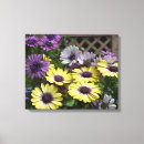Search for osteospermum art Garden