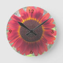 Search for rusty clocks Red