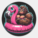 Search for funny flamingo stickers Pool
