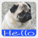 Search for pug dog stickers Puppy