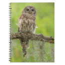 Search for owl notebooks Foliage