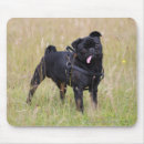 Search for black pug mouse mats Carlin