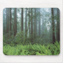Search for redwood mouse mats Fern