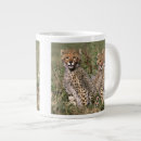 Search for habitat mugs Environment