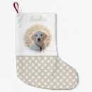 Search for pet christmas stockings Paws