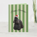 Search for american cocker cards Spaniel