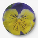 Search for pansy plates Floral