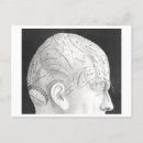 Search for skull head postcards Phrenology