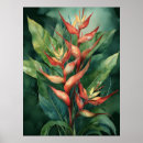 Search for heliconia Hawaii