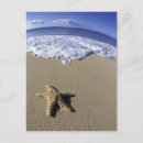 Search for makena postcards Ocean