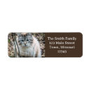 Search for siamese return address labels Feline