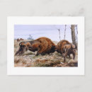 Search for bison postcards Watercolor