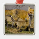 Search for red fox christmas tree decorations Kit