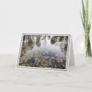 Search for reflections photo cards Photograph