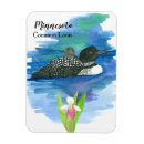 Search for common loon home living Waterfowl