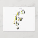 Search for fish swimming postcards School of fish