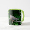Search for mourning dove mugs Birds