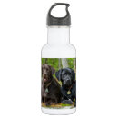 Search for black labrador water bottles Puppy