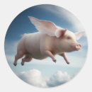 Search for flying piggy stickers Pigs
