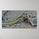 Search for garters posters Nature