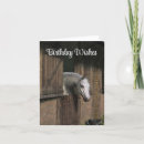 Search for stable cards Horse