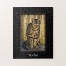 Search for tortoiseshell Pet