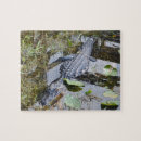 Search for alligator puzzles Green