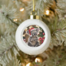 Search for cute koala bears christmas tree decorations Festive