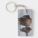 Search for full colour key rings Wildlife