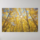 Search for amidst posters Nature