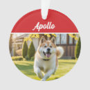 Search for akita christmas tree decorations Pets