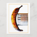 Search for life is sweet postcards Fruit