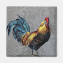 Search for rooster magnets Farm animal