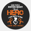 Search for my hero stickers Warrior