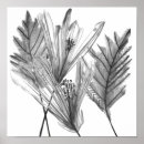 Search for greys posters Leaf