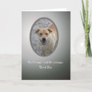 Search for rescue thank you cards Volunteer