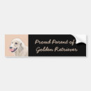 Search for golden retriever bumper stickers Puppy
