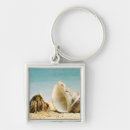Search for hermit key rings Animals