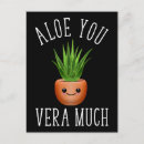 Search for alo postcards Aloe vera