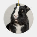 Search for black white rabbit christmas tree decorations Cute