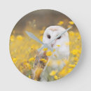 Search for cute snowy owl art Wildlife