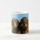 Search for dachshund photo mugs For her