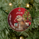 Search for red squirrel christmas tree decorations Funny