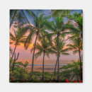 Search for tree key magnets Sea