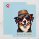 Search for border collie cards White