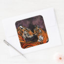 Search for tiger cubs stickers Big cat